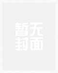 ���ַ��粼�ֿ�ʼ